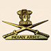 लोगो - भारतीय थल सेना